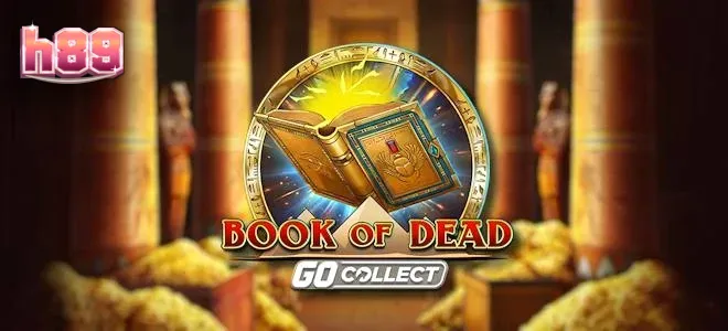 Tampilan visual slot Book of Dead GO Collect dengan elemen kuil kuno